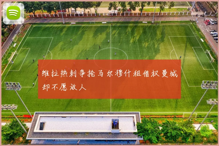 维拉热刺争抢马尔穆什租借权曼城却不愿放人