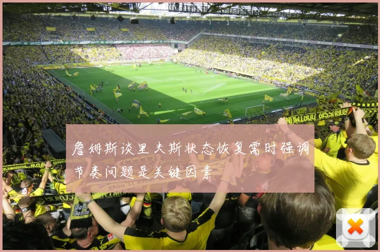 詹姆斯谈里夫斯状态恢复需时强调节奏问题是关键因素
