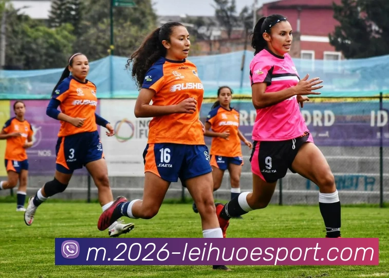 雷火电竞品牌故事